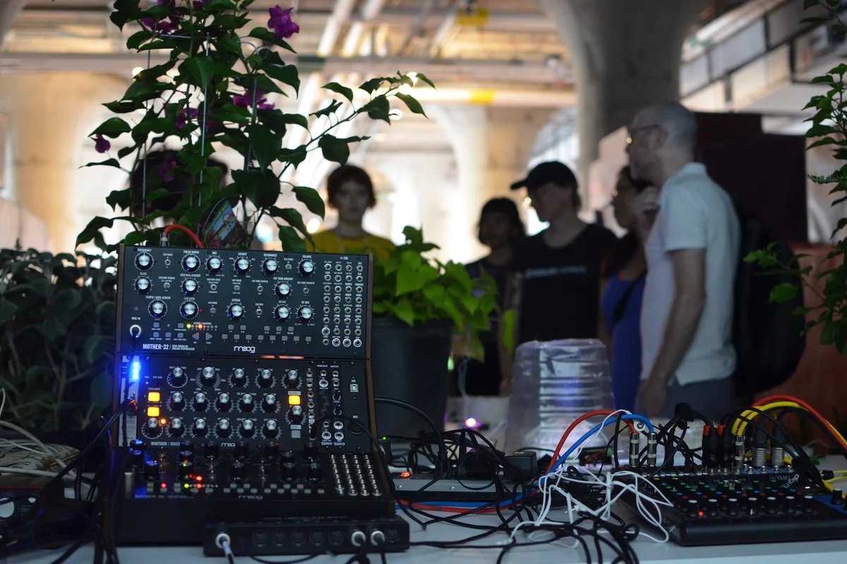 BioSonification installation, MOCA (2019)